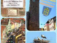 Master of Dumphill Kennel Ferienwohnungen