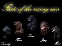 Flats of the rising sun