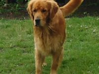 Claus-Buddy vom Reformer Eck