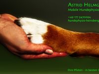 Mobile Hundephysiotherapie Astrid Helmgens