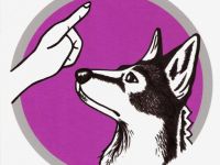 Menschens | Hund - Hundeschule mit Herz & Verstand