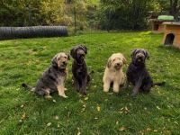 mit der treuen Seele