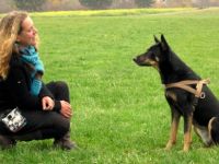 Hundeschule Sillenbuch Schule für Mensch und Tier