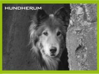 Hundherum »alltagstauglich und individuell«