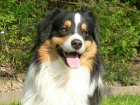 DC-Miracle's Sun in my Hand "Happy"