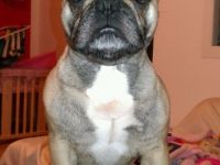 derry von mönchsberg