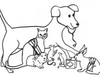 Tierheilpraktikerin Katja Tewes