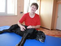 Praxis für Tierphysiotherapie