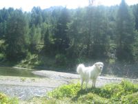 Haus Larix am Reschenpass