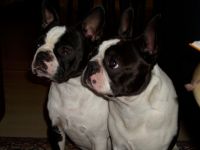 vom  Hamborner-Ranenberg