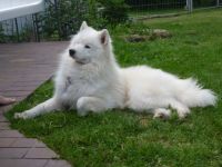 Polar Mist Party at LunaSea