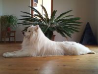 Peace Inside of Severnaya-Sam