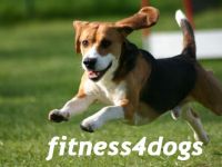 fitness4dogs Corinna Schlageter