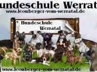 Hundeschule Werratal