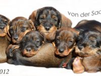 von der Saarschleife