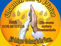 Chaoten auf 4 Pfoten