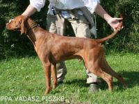 Luppa-Vadász Piszke