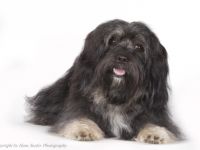 Cooper (Cubain's Magic Ycetto)