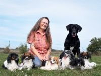 Cushla Macree's Phalène