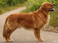 Chalestino von der schwäbischen Toskana