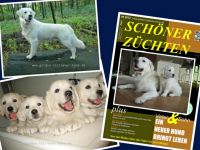 Baron    - sucht GRÄFIN -