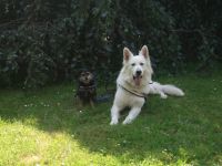 Aik von White of Eden