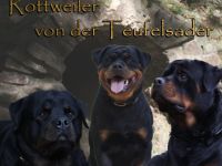 von der Teufelsader