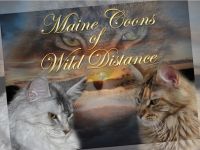Wild Distance