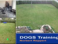 DOGS Training