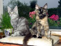 ValtenbergPfoetchen`s