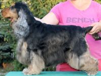 Rizi-Bizi Sable Tumbler