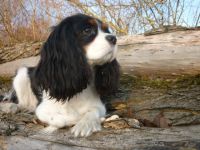 Von der kleinen Welschbach