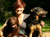 Hundetraining Paradogs