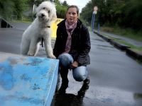 Hundeschule Best Friend Hannover/Isernhagen