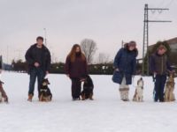 Hundeverein PSSV Neuaubing Germering e.V.