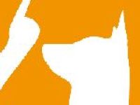 Sabrina's Dog Training mobile Hundeschule Dortmund