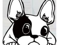 mobile Tierheilpraxis Heike Wieland