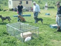 Hundeschule Bad Münstereifel