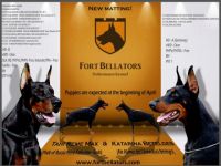 Fort Bellators