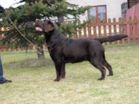 Nenuoramos Winter Boy