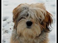 Jay Jay Coffee Ole from the little heroes