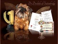 Dr. Doolittle of Suttonbridge