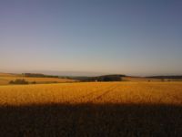 Kleinhundepension "wie zu Hause"