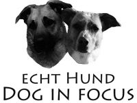 Echt Hund Dog in focus