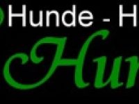 Hunde-Halter-Schule "Hunde Blicke"