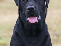 BUTKUS-Casper vom Kannenbäckerland