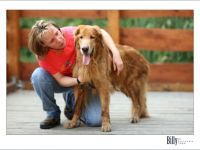 Hundeschule.com