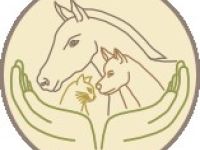 Tierheilpraxis Neubert