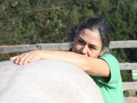 Cranio-Sacrale-Osteopathie und Tierheilpraxis "Von Kopf bis Huf" Thüringen