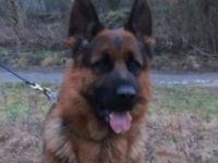 Esko  von der alma mater